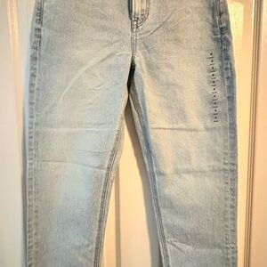 Light Wash American Eagle Jeans